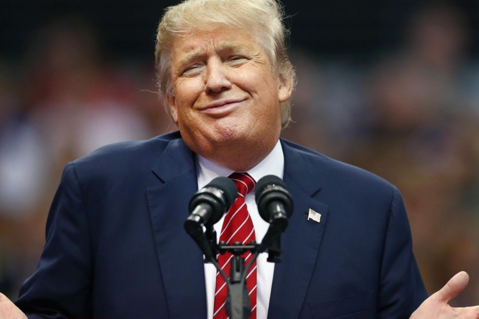 Donald trump a comunicar